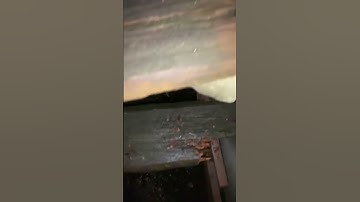 I‌ need to know what happened next