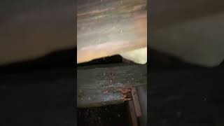 I Need To Know What Happened Next