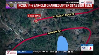 14-year-old teen stabs 15-year-old with kitchen knife in Richland County, deputies say