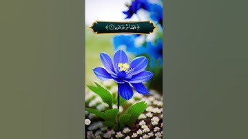 تلاوة مؤثرة سورة التين.القارئ أحمد العجمي