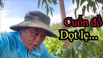 Cá Quá Nhiều, Quá To Mà Phải Bỏ Của Chạy Vì Lí Do Này… / Fishing and Cooking