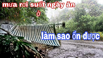 ngủ trong rừng mưa, đón mưa đầu mùa, ngày và đêm, và thịt gác bếp |phúc làng tv