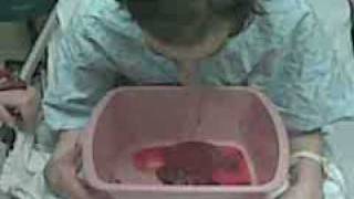 Erica "Deathpuke" spitting blood