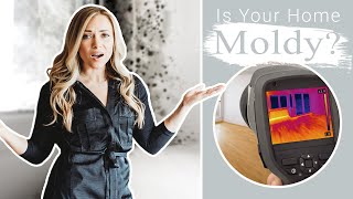 How to Test Your Home for Mold