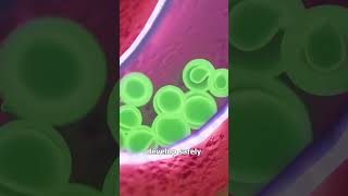 The Frog That Births Through Its Mouth