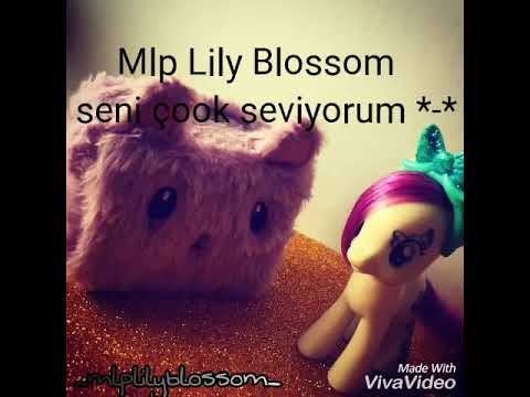 Experience The Magic: Lily Blossom MLP Fan Site