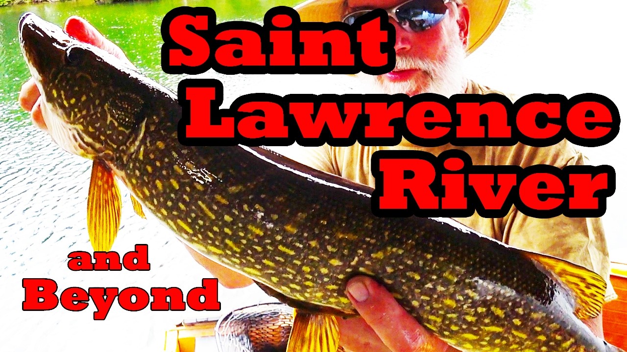Saint Lawrence River and Beyond 14 #1000islands #fishing