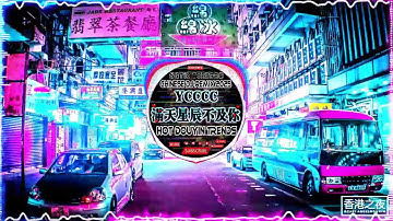 酒吧最火DJ舞曲 - 2025網路超火歌曲抖音【2025最火歌曲DJ慢摇】TIK TOK抖音音樂熱門歌單\Douyin Top Trending【2025月最火中文 】Chinese Dj Remix