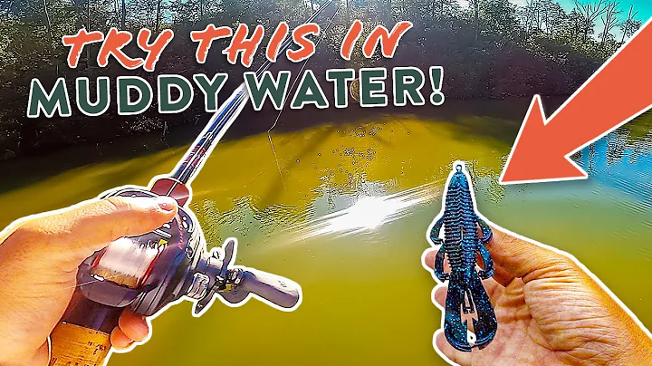 Do This To Catch MORE Fish In MUDDY Water! | Dirty Water Bass Fishing Tips