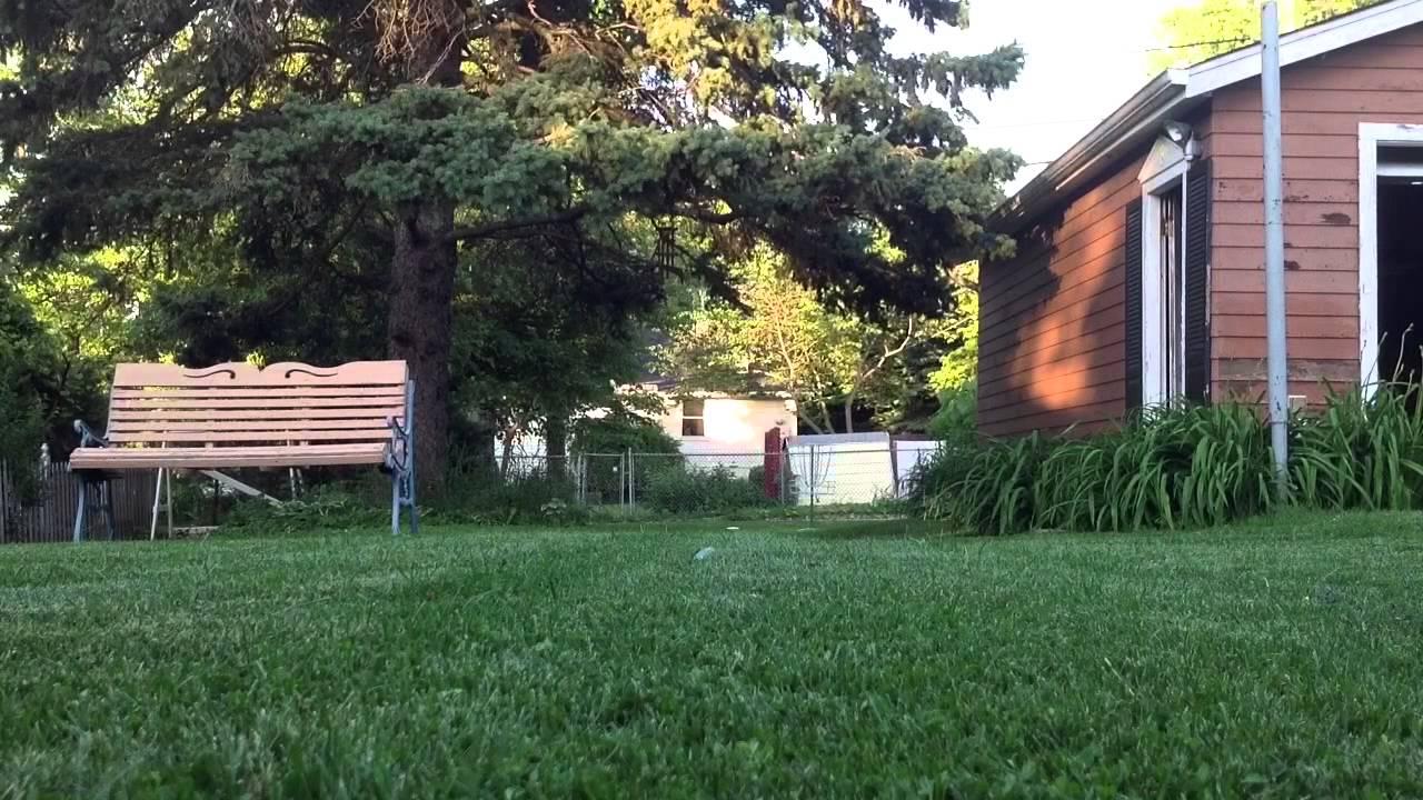 Backyard par 3 disc golf - YouTube