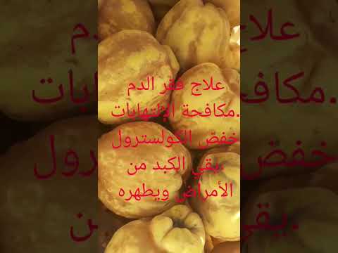 فوائد فاكهة السفرجل خيرات بركان الشرق