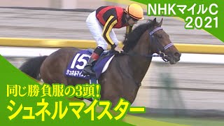 【マイルCS 2022】有力馬のＧⅠ初制覇の瞬間をプレイバック！（シュネルマイスター）