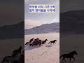 제주 김만일, 조선을 구한 기적의 헌마(獻馬)#헌마공신#김만일#제주인