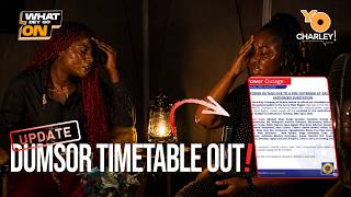 DUMSOR IS BACK? ECG Releases Load Shedding Timetable Amid Ghana Power Concerns