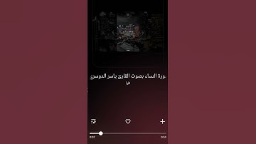 سورة النساء. #quran #قرآن #المصحف #اكسبلور #shortvideo #تلاوة_خاشعة ##ياسر_الدوسري #foryou #trending