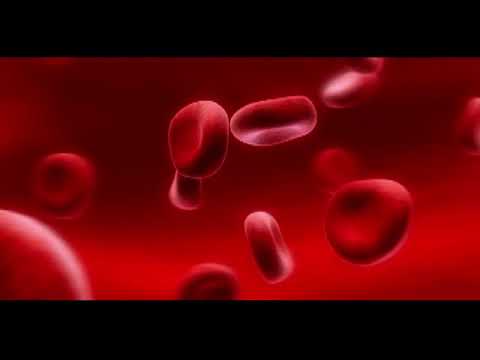 Video: Heichera E Kuqe E Gjakut