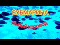 Шарм эль Шейх 11 января 2021 г. Субмарина (Батискаф) Ура!!! рыбы есть в Красном море!!!