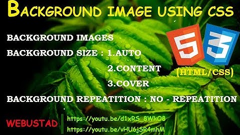 How to insert background image | Background image and color in HTML and CSS using notepad | HTML CSS