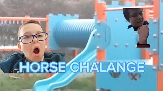 HORSE CHALLENGE /W@glocker240