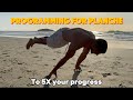 How I Program To 5X My PLANCHE LEVEL In 3 Months (Full guide)
