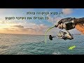 דג פצוע יתקוף? ברקודה פוזלת - כך תגדילו את הסיכוי לתפוס 🎣 והמלצה לערוץ שווה 💥