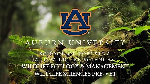 Auburn University Wildlife Ecology and Management and Wildlife Pre-Vet Concentration Majors