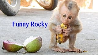 So Funny Baby Rocky Eating Banana / Funny Rocky Eat Fruit With Mama Rozy