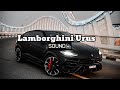 LAMBORGHINI URUS | CRAZY SOUND | CRAZY LOUD EXHAUST REVS | МИНИ ОБЗОР