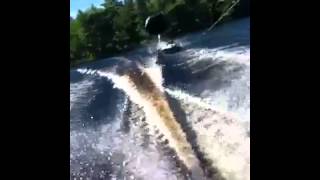 Tubing tricks (summer 2012)