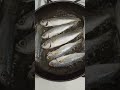 Frying Bogue Boop Boop Fish Subscribe Shortsfeed Homecook Satisfying Cooking Trending