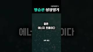 말은 에너지 흐름이다 #명언 #긍정의말 #셀프토크 #말습관 #긍정적마인드 #긍정의한줄