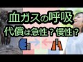 呼吸性アシドーシス、換気の評価と代償【血ガスの呼吸２】【１分で血液ガスをざっくり評価しよう④】