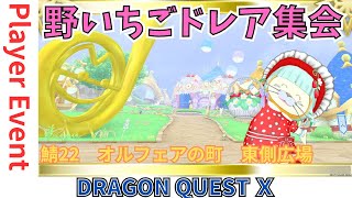 【ドラクエ１０】るなめりっくさん主催のプレイヤーイベント #野いちごドレア集会　　DQ10　DQX　ドラゴンクエスト１０