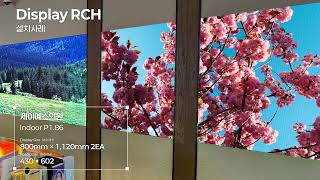 [RCH] 세이예스의원 (Sayyes Clinic)