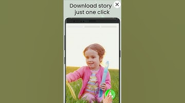 Status Saver Portrait Second Short Video 1 #whatsapp #app #webchat