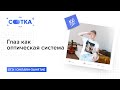 Глаз как оптическая система за 5 минут 👁️