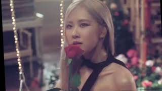 Blackpi̇nk Rosé Edi̇t Rose On The Ground The Lady