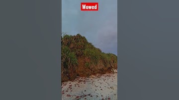 My first vlog video #shorts #myfirstvlog