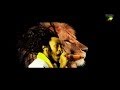 Ethiopia New Ethiopian Music 2014 Ras Biruk Bezu Were Official Audio Video Ethiopia New Ethiopian Music 2014 Ras Biruk Bezu Were Official Audio Video