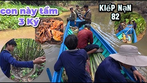 Quay Về Tuổi Thơ Anh Em Cười Muốn Nội Thương Có Mồi Lai Rai Buổi Tối BLMT # 497