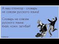 Словарь Елены Ильичевой (канал Семья в городе Life/Готовим вместе с Еленой Ильичевой)