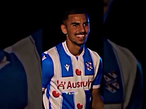 اسود القاره