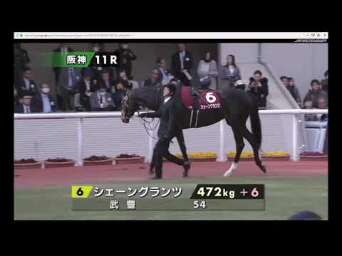 【パドック】 中内田 充正厩舎のダノンファンタジー 藤沢 和雄厩舎のシェーングランツは5着 2019年3月2日（土曜） 1回阪神3日 11R 第26回 チューリップ賞 阪神 芝 1600m