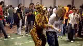 O Tigre do LolaPop 08