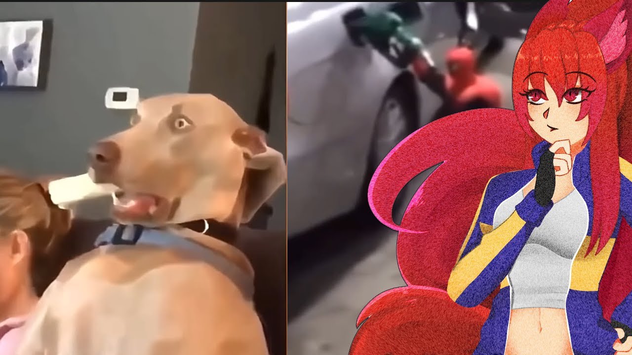 Vtuber Reacts to BEST MEMES COMPILATION SEPTEMBER 2021