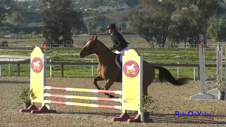 102S Christine Murphy on Made You Look Beginner No...