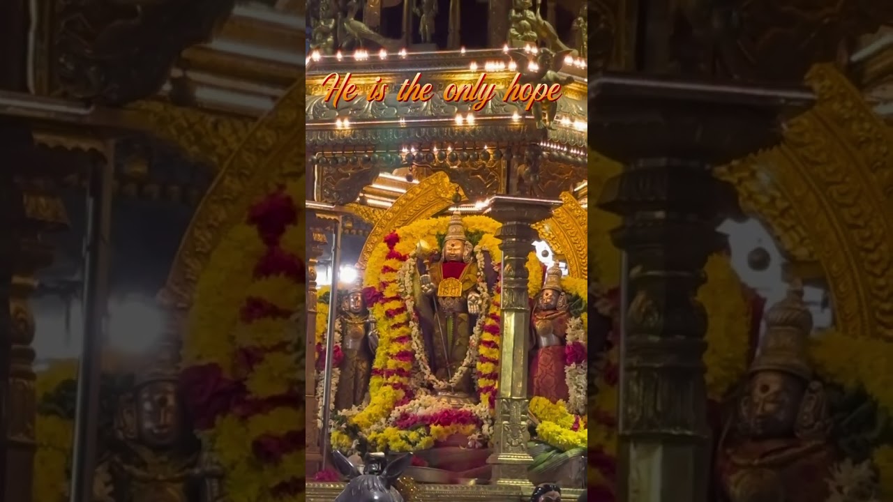 Muruga Muruga... 🙏 your favourite god command please... 🦋