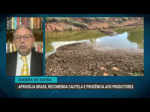 Quebra de safra | Aprosoja Brasil recomenda cautela e prudência aos produtores | Canal Rural