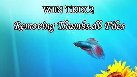 Removing thumbs.db files - Sinhala