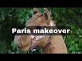 Paris makeover